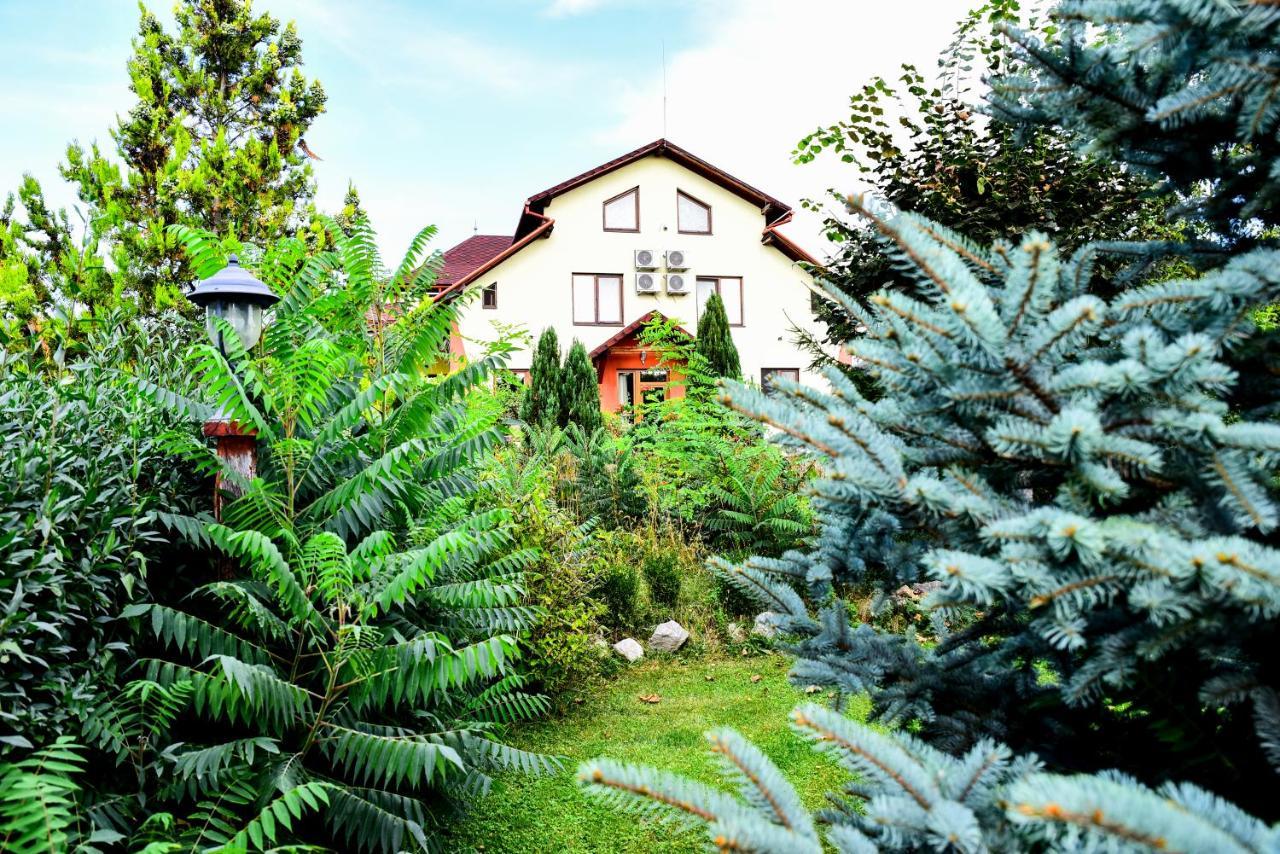 Casa Moteasca Hotel Mihai Viteazu  Esterno foto